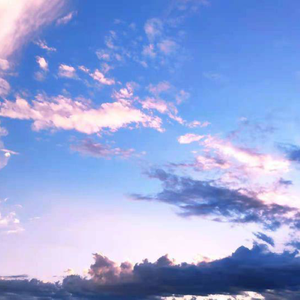 POrondrome重口另类
