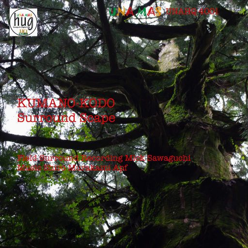 POrondrome重口另类
